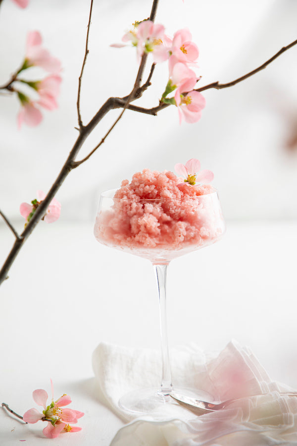 Ginger Rhubarb Granita